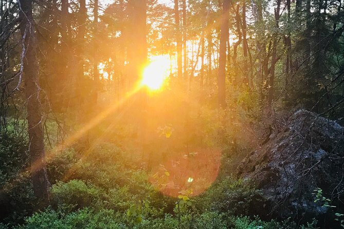 Midnight Sun and Campfire - National Park evening hike Stockholm - The midnight sun gives the evening its mood