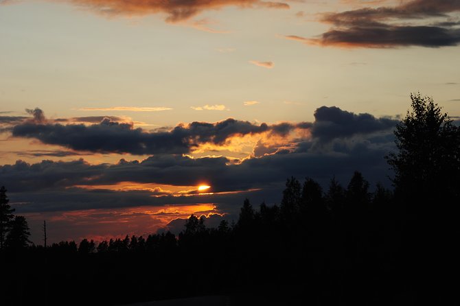 Moose safari in the wild Sweden Tiveden - Why David makes a difference