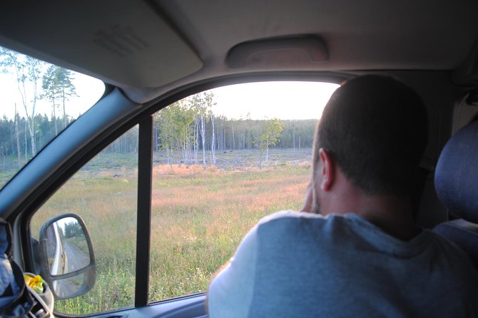 Moose safari in the wild Sweden Tiveden - The minivan search around Tiveden National Park