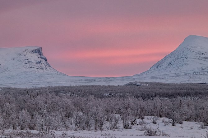 Morning hike in Abisko National Park - The guides shape the whole experience