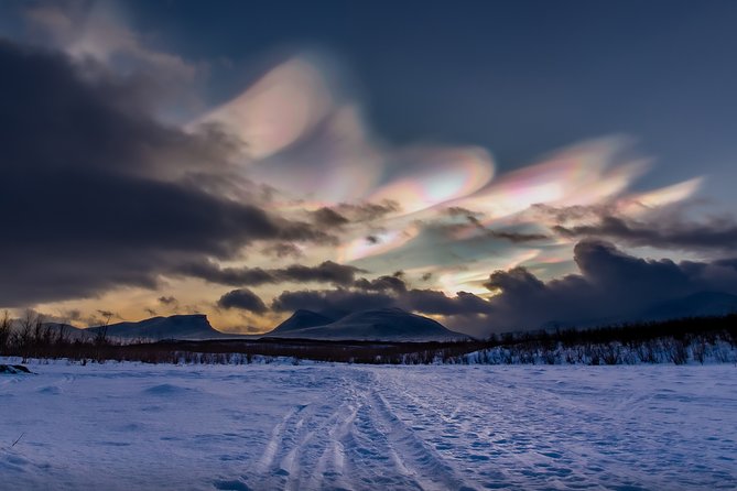 Morning hike in Abisko National Park - Who will enjoy this most?