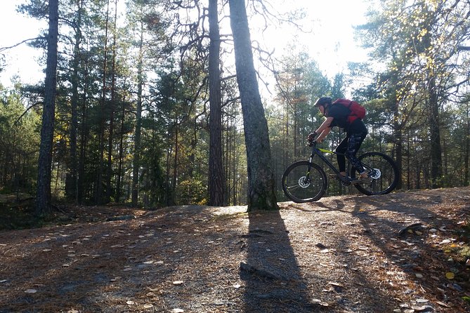 Mountain Biking Small-Group in Stockholm Forests for Beginners - Lakes, wildlife, and the Swedish fika break