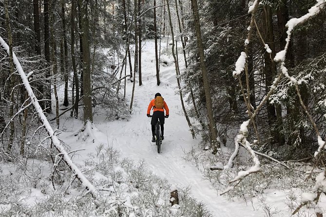 Mountain Biking Small-Group in Stockholm Forests for Beginners - Is $144 a fair price?