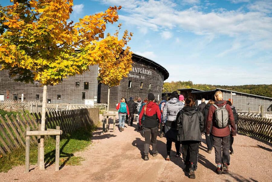 Nordens Ark Entry Ticket - What the $31 ticket is worth