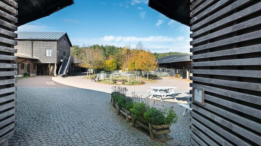 Nordens Ark Entry Ticket - Food, lodging, and extra experiences