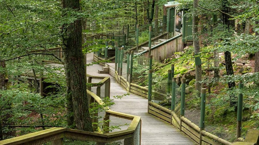 Nordens Ark Entry Ticket - Starting in the wildlife area