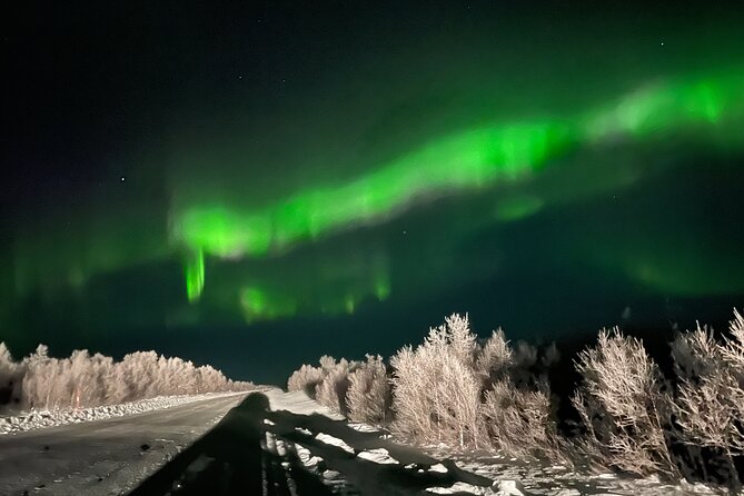 Northern Light hunt with minibus to Abisko 7:30 pm - Through Abisko National Park after dark