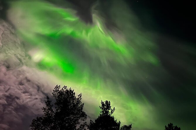 Northern Light hunt with minibus to Abisko 7:30 pm - Cake, hot drinks, and the cold-weather reality