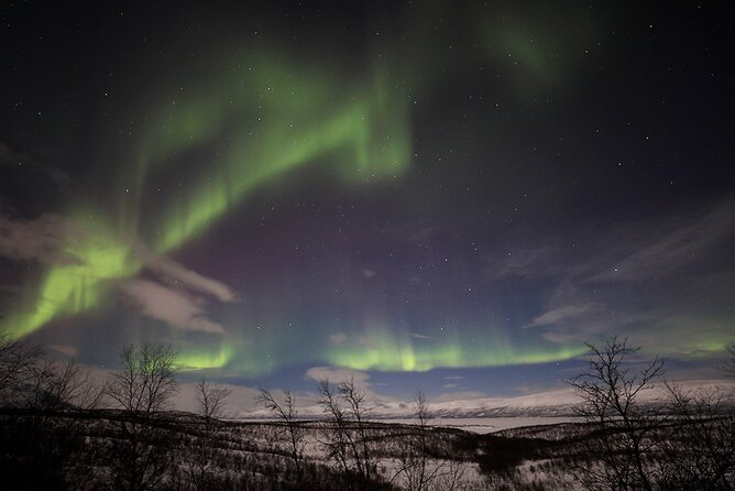 Northern Light Photo tour - Who will enjoy this most?