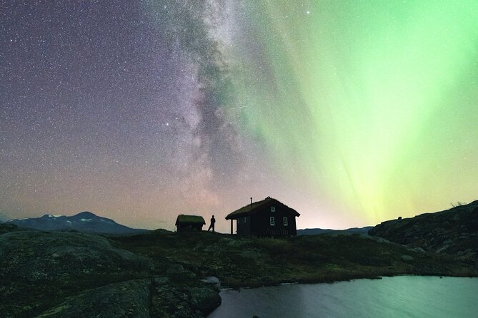 Northern Lights Photo Expedition Dinner Included from Abisko - Why the $235.33 price can make sense