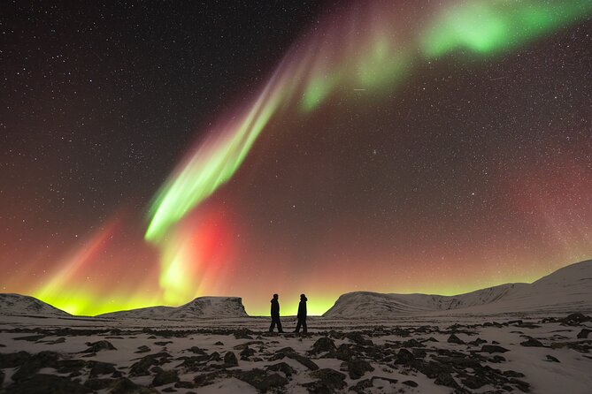 Northern Lights Photo Expedition Dinner Included from Abisko - The weather risk is real