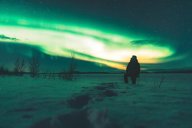 Northern Lights Photo Expedition Dinner Included from Abisko - Practical details before you book