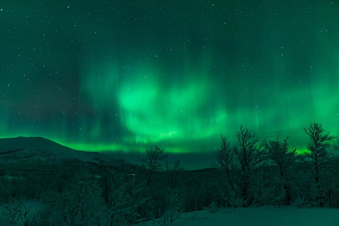 Northern Lights Tour from Kiruna to Abisko with Dinner - Leaving Kiruna at 5 p.m. for an Arctic night