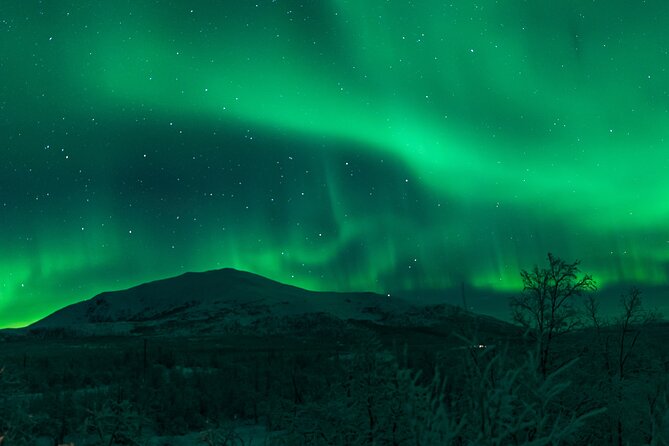 Northern Lights Tour from Kiruna to Abisko with Dinner - Campfire, cookies, and the limits of staying warm
