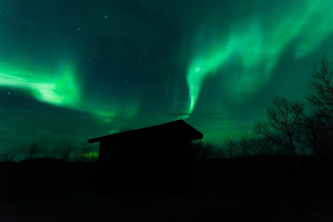 Northern Lights Tour from Kiruna to Abisko with Dinner - Getting photographs beneath the aurora
