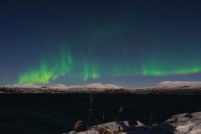 Northern Lights Tour from Kiruna to Abisko with Dinner - What the $278.79 price really covers