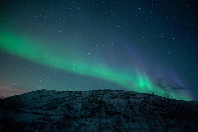 Northern Lights Tour from Kiruna to Abisko with Dinner - Group size, fitness, and who should book