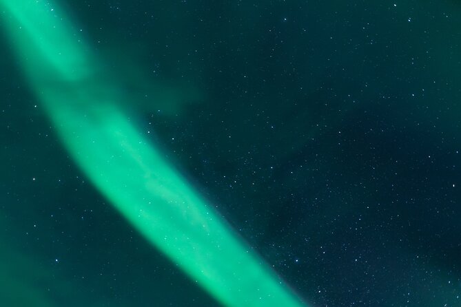 Northern Lights Tour from Kiruna to Abisko with Dinner - Dinner at Abisko Mountain Lodge