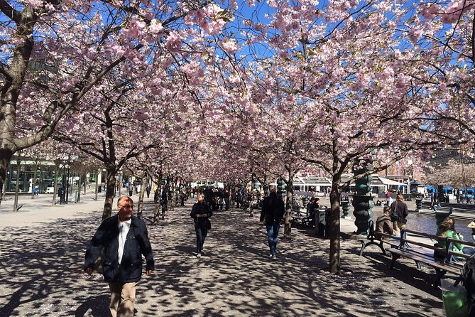 Private 4h VIP city tour by limousine car and guide in Stockholm - Fjällgatan, the best photo stop