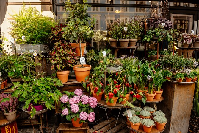 Private 90-Minute Walking Tour in Stockholm - Stortorget and the first ten minutes