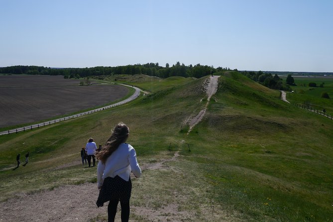 Private Full Day Viking History Tour from Stockholm Including Sigtuna and Uppsala - Arkils tingstad and the Viking age beyond battle stories