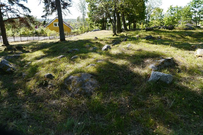 Private Full Day Viking History Tour from Stockholm Including Sigtuna and Uppsala - The drive to Uppsala and the value of private transport