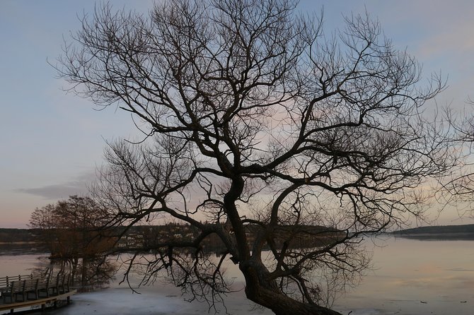 Private Sigtuna Tour from Stockholm - Oldest Town of Sweden - Sigtuna’s old streets and Viking beginnings