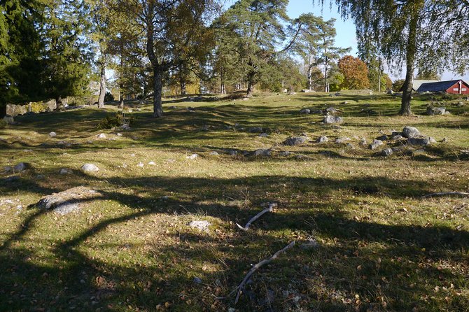 Private Tour: Swedish History Day Trip to World Heritage Candidate Markim-Orkesta from Stockholm - Vallentuna Church and the shift from pagan belief to Christianity