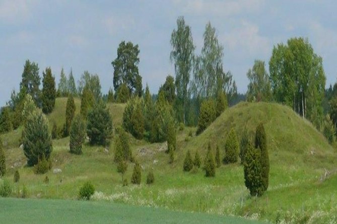 Private Tour: Swedish Iron Age Excursion from Stockholm 3h - Leaving Stockholm for Angarnsjöängen