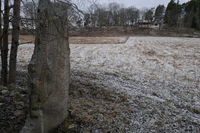 Private Tour: Swedish Iron Age Excursion from Stockholm 3h - Timing, comfort, and what to bring