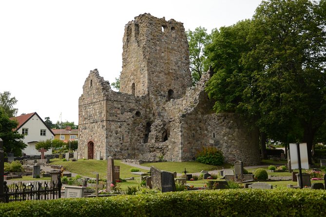 Private Uppsala & Sigtuna Half Day Tour - What private transport adds to the day