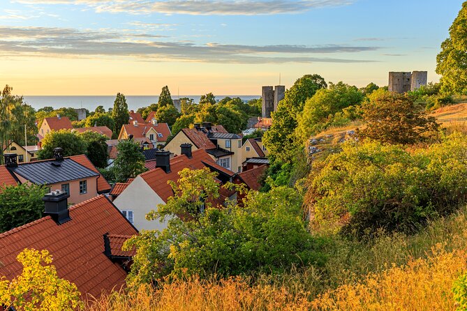 Private Walking Tour of Visby with Cathedral and Gardens - Finding a quieter side of Visby at DBW’s Botanical Garden
