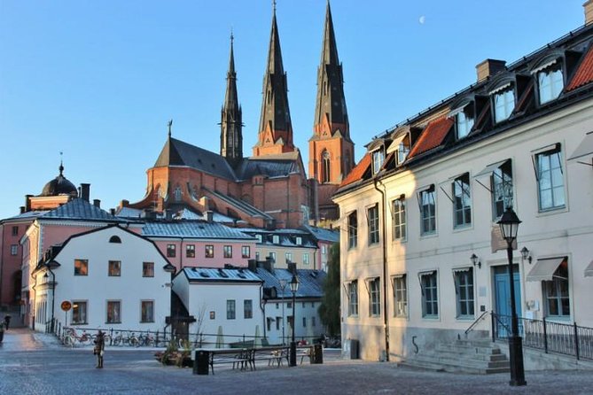 ROYAL Uppsala and VIKING Sigtuna PRIVATE Tour - What the private format really adds