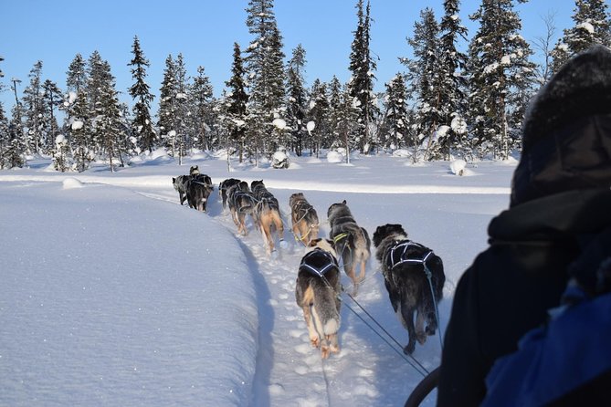 Sit Back and Relax Morning Husky Tour - Getting from Kiruna to the husky kennel
