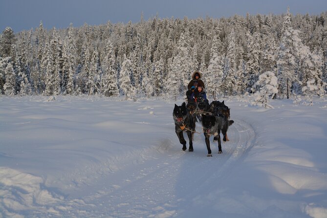 Sit Back and Relax Morning Husky Tour - The teepee fika with coffee and cinnamon rolls