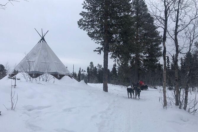Sit Back and Relax Morning Husky Tour - What the $182.12 price really covers
