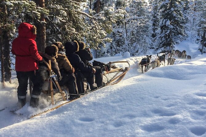 Sit Down Husky Ride Dog Sled Tour in Kiruna - Key Points Before You Book