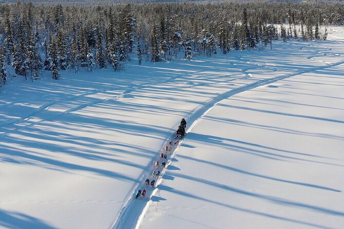 Sit Down Husky Ride Dog Sled Tour in Kiruna - Coffee, Cake, and a Lavvu Break