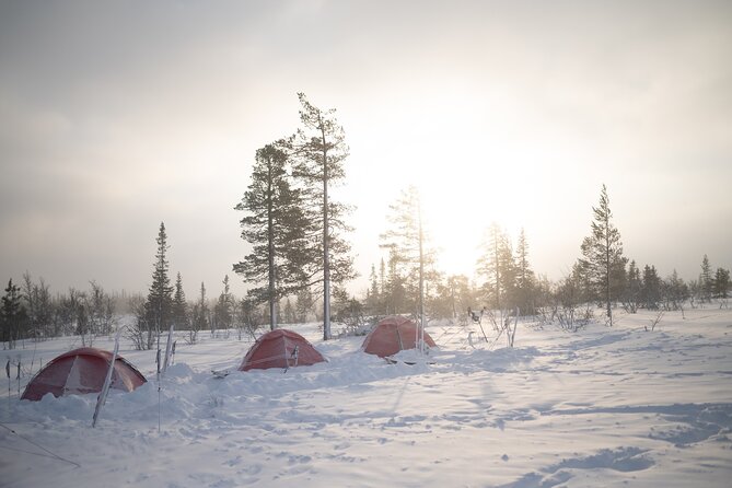 Ski Touring and Winter Fun in Fulufjallet Mountain Plateau - What the $2,480.99 price really covers