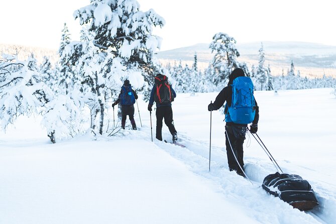 Ski Touring and Winter Fun in Fulufjallet Mountain Plateau - Day 2: First turns at Rännkölen