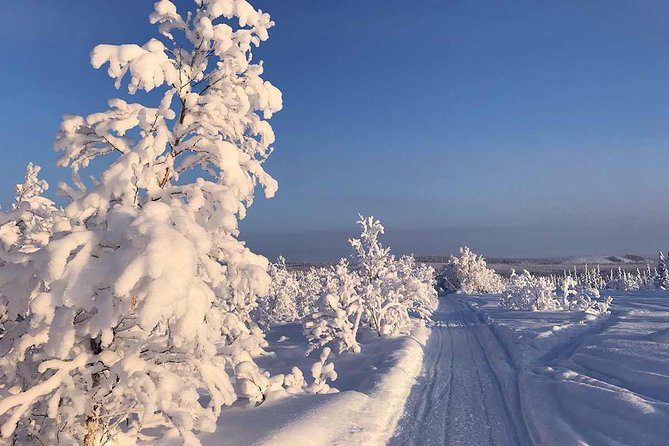 Snowmobile Arctic Adventure - Learning the snowmobile controls