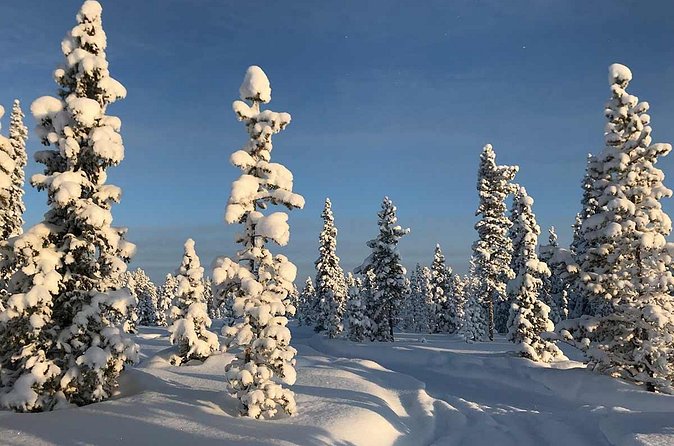 Snowmobile Arctic Adventure - Is $231.34 a fair price?