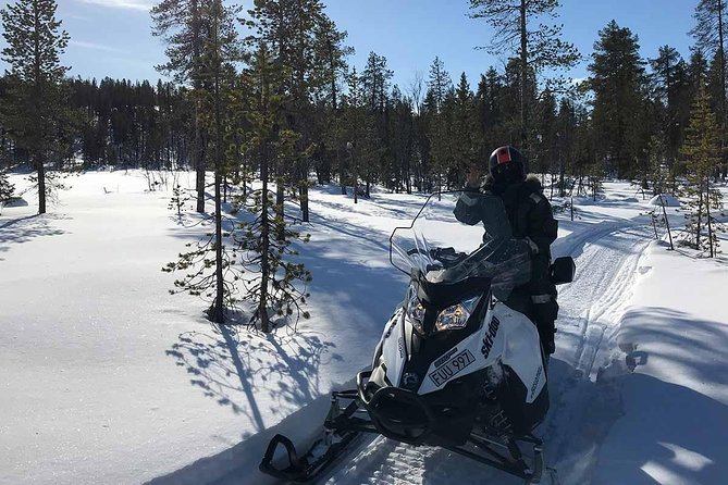 Snowmobile Arctic Adventure - Who should book this Kiruna adventure?