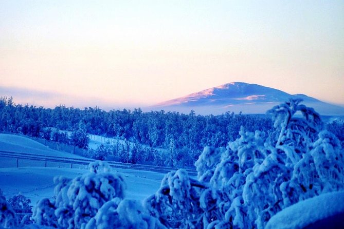 Snowmobile Safari to Lapland viewpoint - Is $369.27 a fair price?
