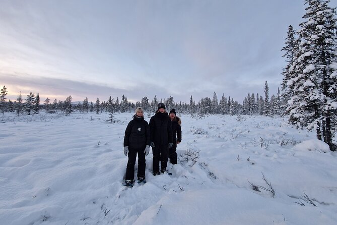 Snowshoe in a Winter Forest - Why this Kiruna snowshoe walk works so well