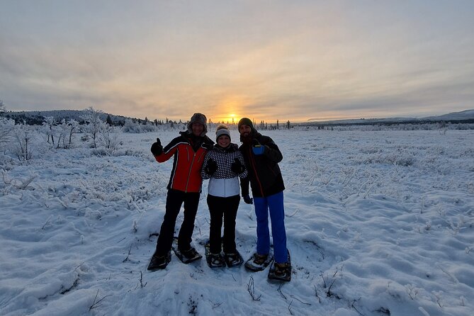 Snowshoe in a Winter Forest - A peaceful Arctic forest, not a strenuous hike