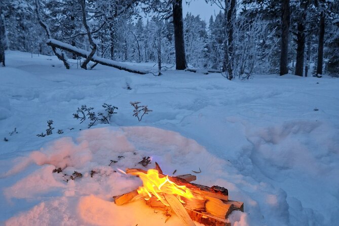 Snowshoe in a Winter Forest - Kiruna stories beyond the forest