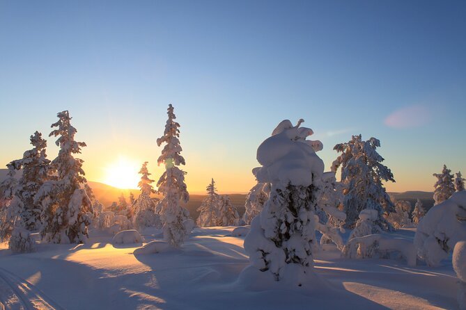 Snowshoe in a Winter Forest - Is $146.65 a fair price?