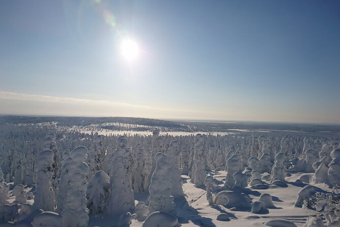 Snowshoe up a Mountain - Why this short Kiruna hike is worth your afternoon