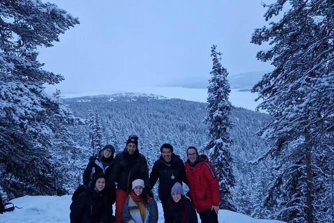 Snowshoe up a Mountain - Starting from Kiruna with a small group